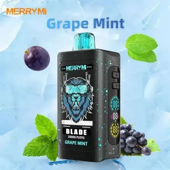 MerryMi Blade Grape Mint
