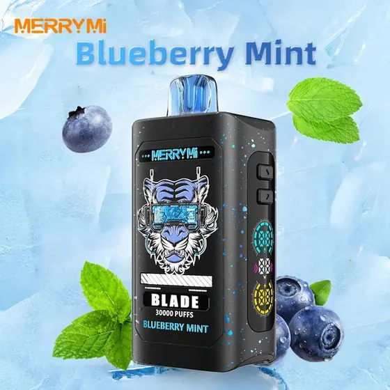 MerryMi Blade Blueberry Mint